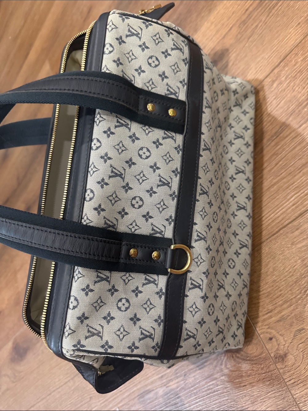Louis Vuitton Monogram Mini Lin Josephine GM - Picture 3 of 6